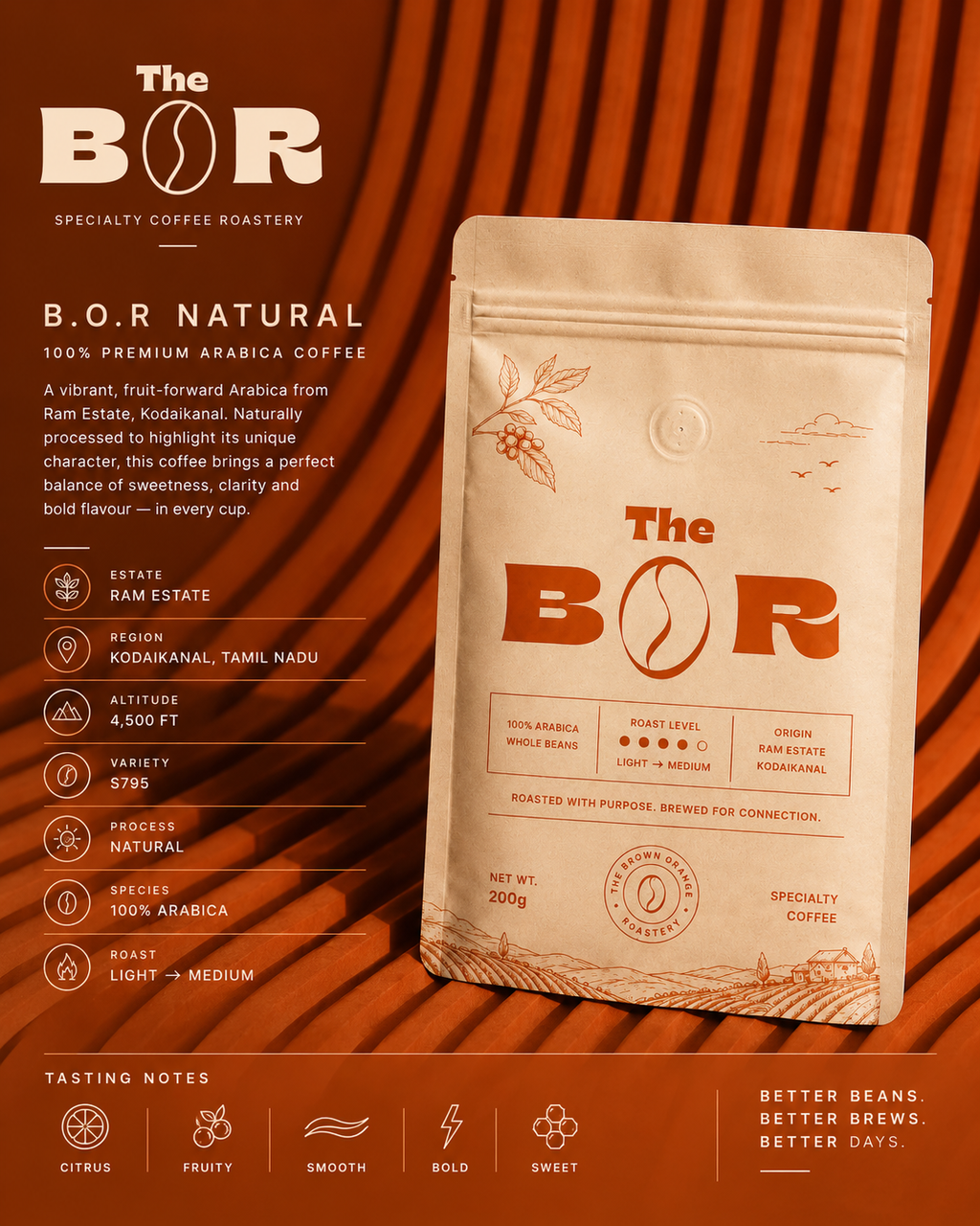 THE B.O.R | Natural Process Arabica